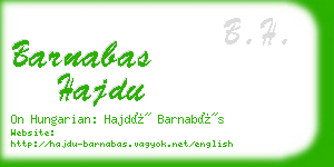 barnabas hajdu business card